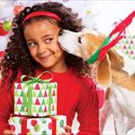 International Drive Orlando Shopping Guide